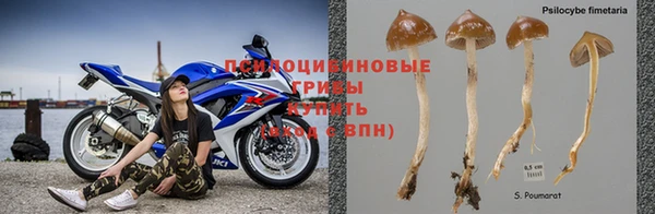 спиды Алексин