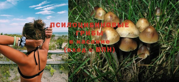спиды Алексин