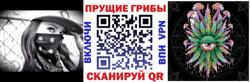 ссылка на мегу вход  Киржач  Псилоцибиновые грибы ЛСД 